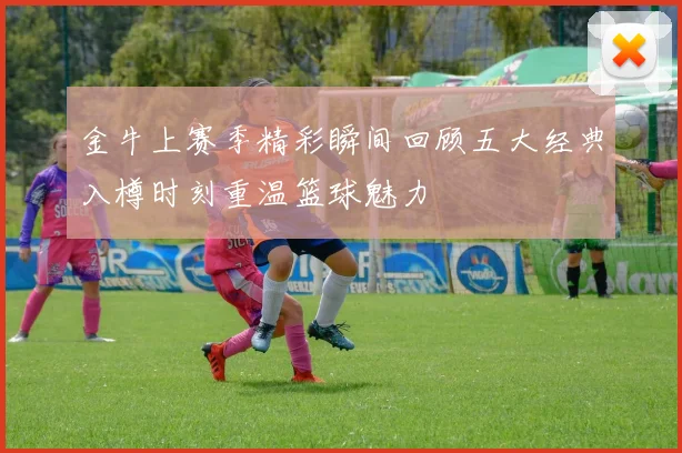 金牛上赛季精彩瞬间回顾五大经典入樽时刻重温篮球魅力