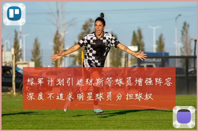 绿军计划引进琼斯等球员增强阵容深度不追求明星球员分担球权
