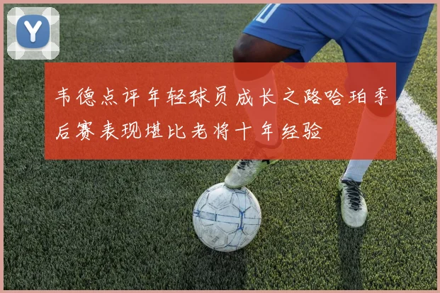 韦德点评年轻球员成长之路哈珀季后赛表现堪比老将十年经验