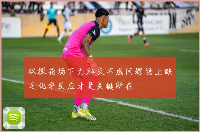 双探花场下无私交不成问题场上缺乏化学反应才是关键所在